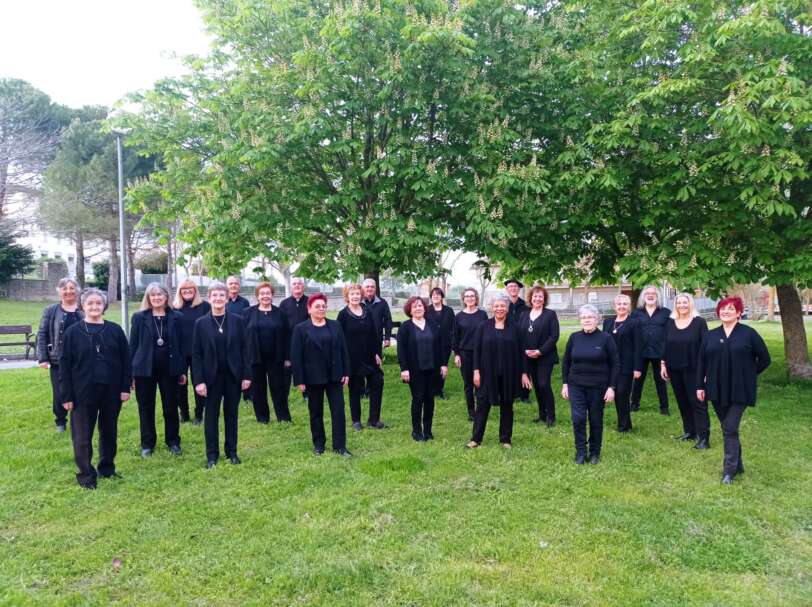 El Coro Vicente Garcia de Vitoria-Gasteiz cantará la misa en honor a San Millan el día 12 de noviembre a las 12.00 del mediodía en la Iglesia de Ali. Posteriormente, ofrecerá un breve concierto.